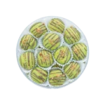 Ina Cookies Gold Kue Kering Premium Putri Nastar Pistachio